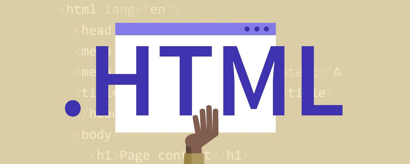 form表单中的各种type类型